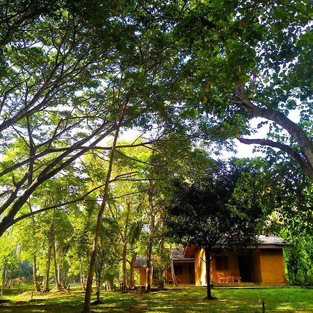 Nuwa Serenity River Retreat Hotel Udawalawe Exterior photo