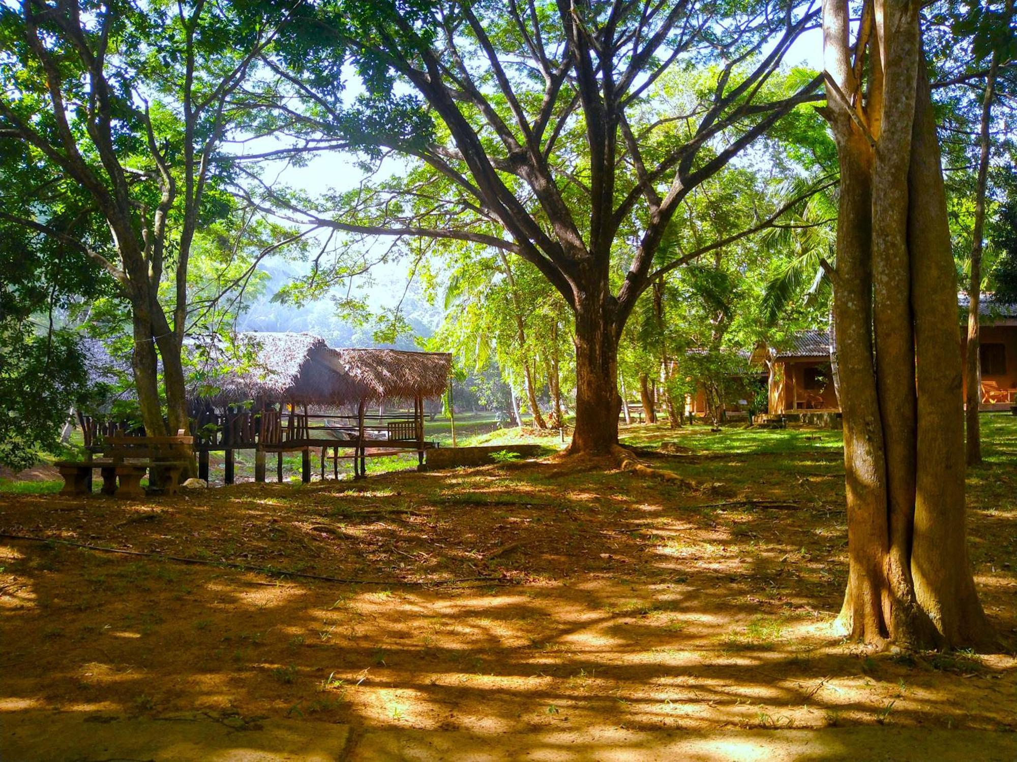 Nuwa Serenity River Retreat Hotel Udawalawe Exterior photo