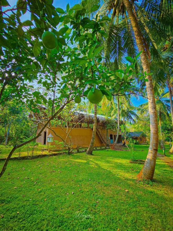 Nuwa Serenity River Retreat Hotel Udawalawe Exterior photo